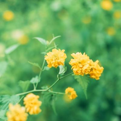 元素觉醒游戏下载